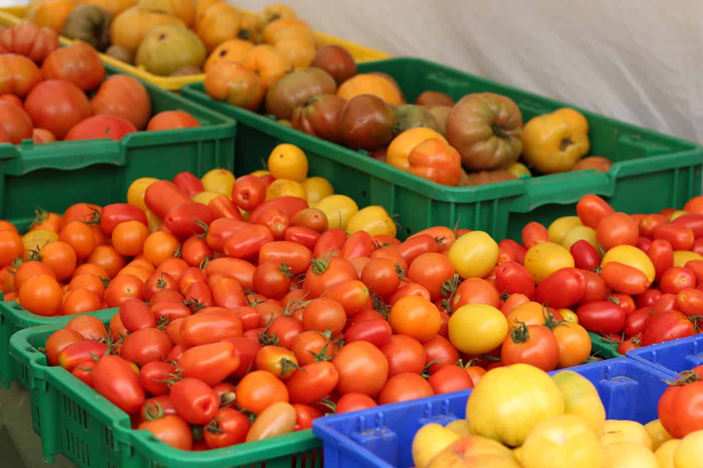 Tomatoes at farmers market in bins – Home for the Harvest