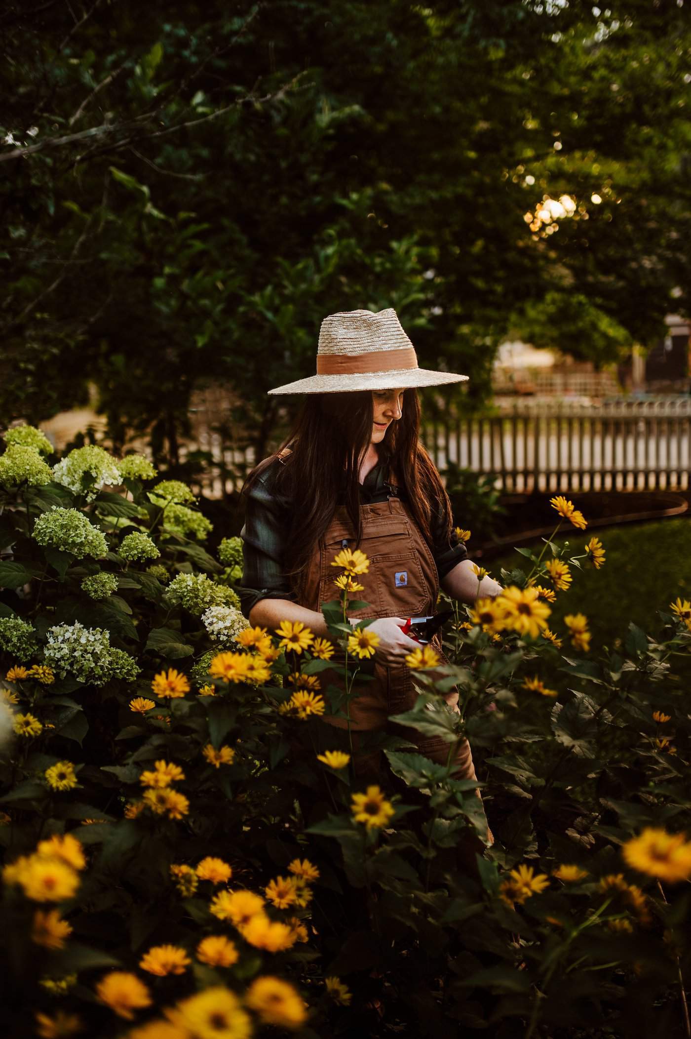 Growing flowers that bloom in fall