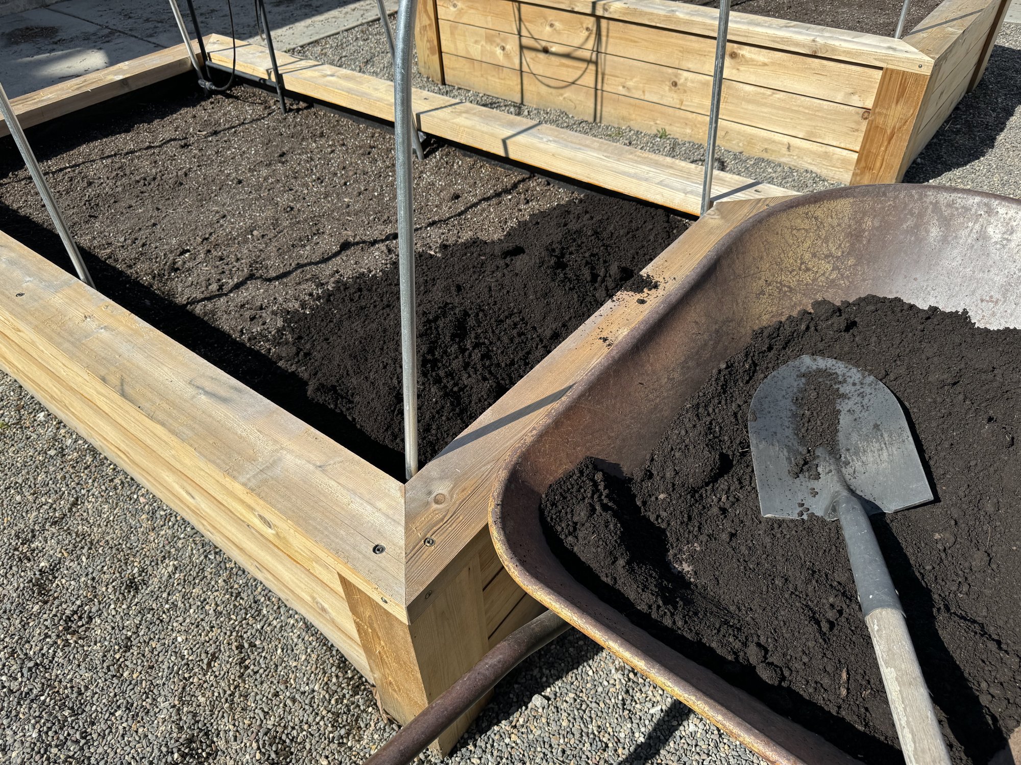 March gardening tips